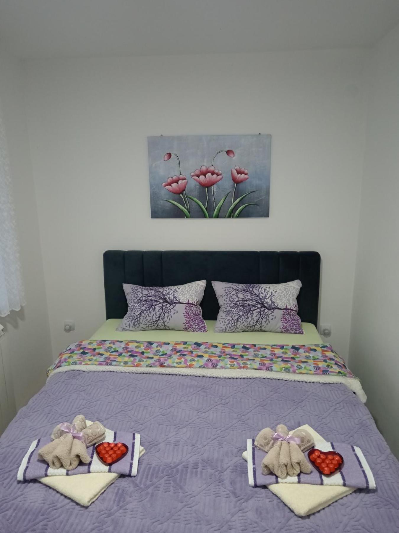 Apartman Lara Pirot Cameră foto